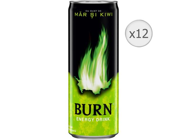 BURN 0.25L MAR/KIWI