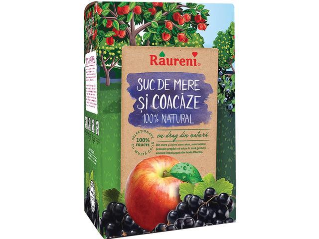 Suc de mere si coacaze Raureni BIB 3L