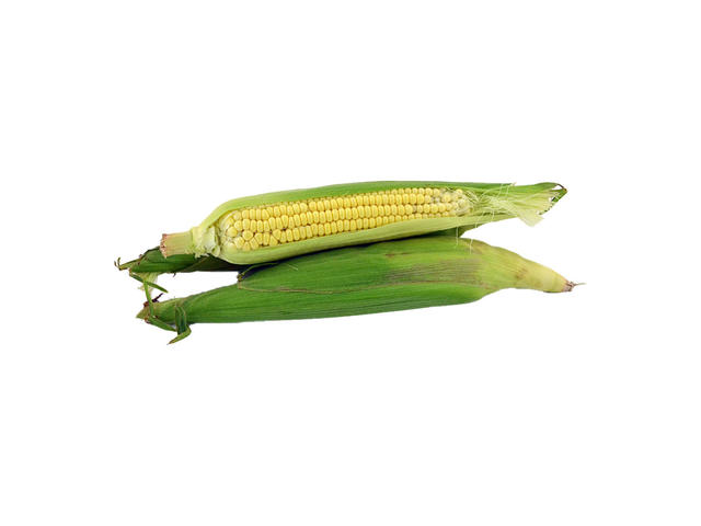 Porumb pentru fiert, pret pe bucata