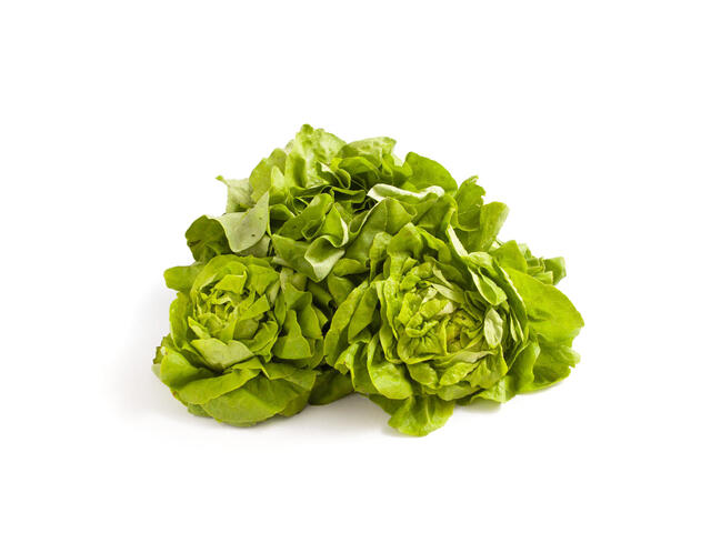 W Salata Verde Romania Per Bucata