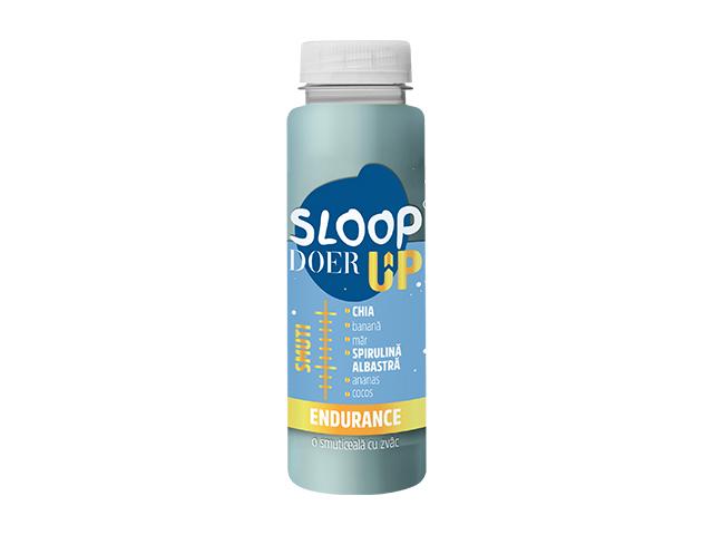 Smuti Ananas & Spirulina 250 ML Sloop Doer