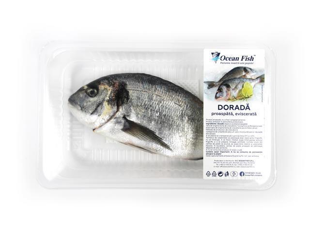 DORADA EVIS. ATM BLUE SHARK