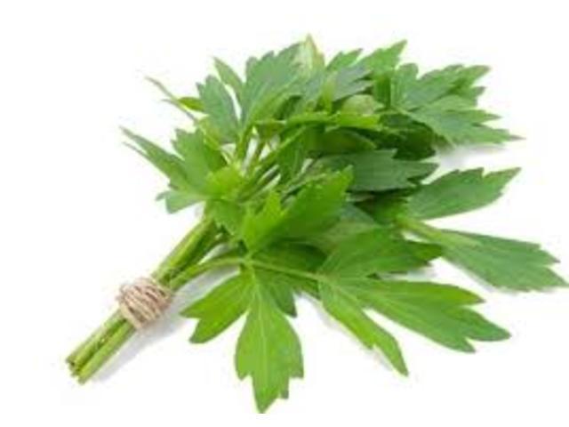 Leustean verde Bio Romania 125 gr per punga