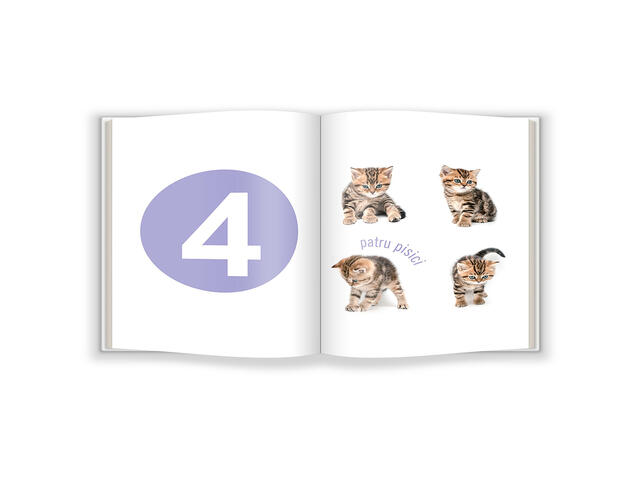 Bebe cunoaste Cifrele