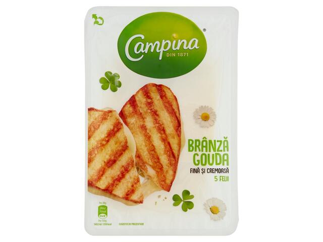 Gouda Felii Vid 100g Campina