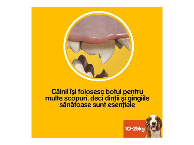 Batoane dentare pentru caini de talie medie Pedigree DentaStix, 77 g