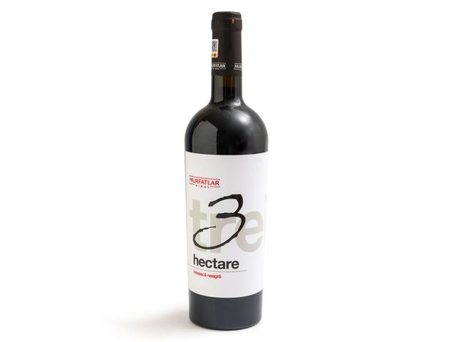 3 Hectare Feteasca Neagra Sec 0,75L