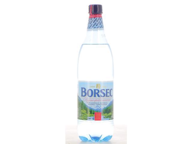 Apa minerala carbogazoasa Borsec 1L