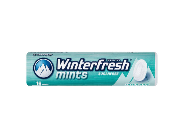 Winterfresh Mints Fresh Mint bomboane mentolate cu aroma de menta 16 buc 28 g