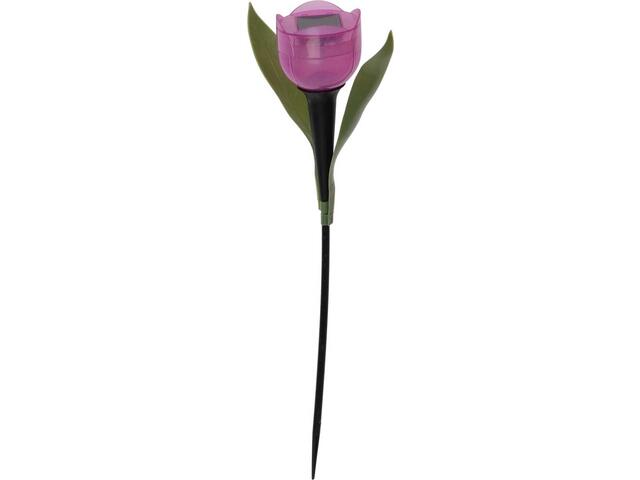 Pick Solar Lalele 30Cm