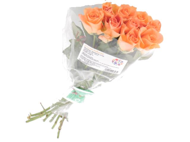 BUCHETEL TRANDAFIRI 9 FIRE