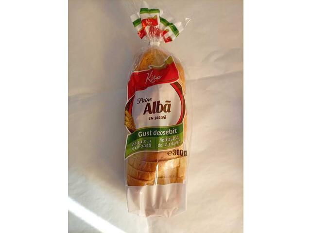 Paine Alba 300G Kira