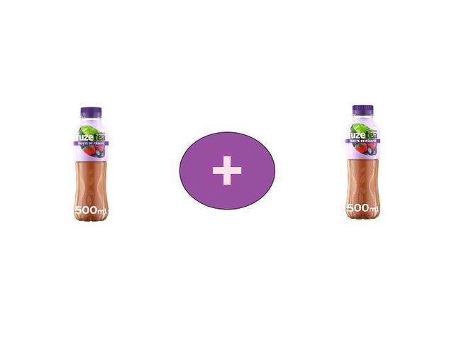 Fuzetea Fructe De Padure 0.5L, Al 2-lea -45%