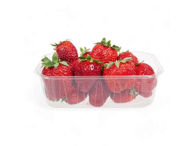 Capsuni 250 gr per casoleta