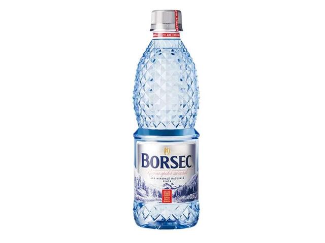 Borsec Apa minerala plata 0.5l