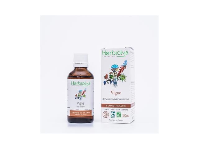 Extract muguri vita de vie BIO 50ml, HERBIOLYS