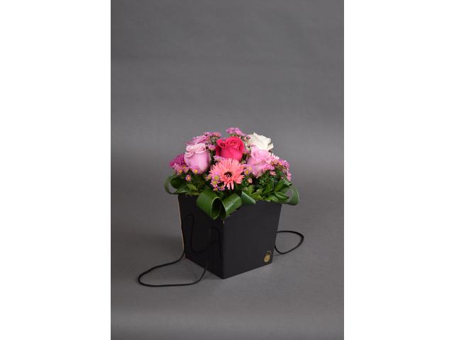 Mix de flori 1 in cutie patrata neagra siati