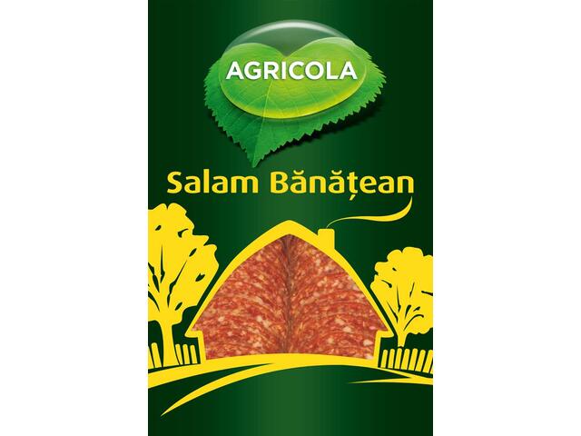 Plic salam banatean 100g Salbac