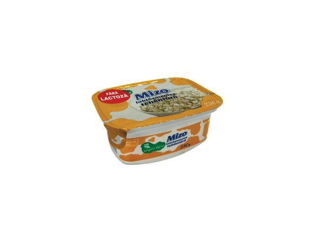 Branza fara Lactoza 250g Mizo