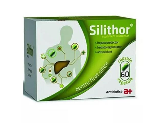 Silithor, Antibiotice SA