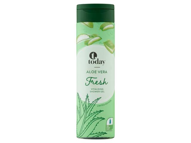 Today Gel dus aloe diverse sortimente 300 ml