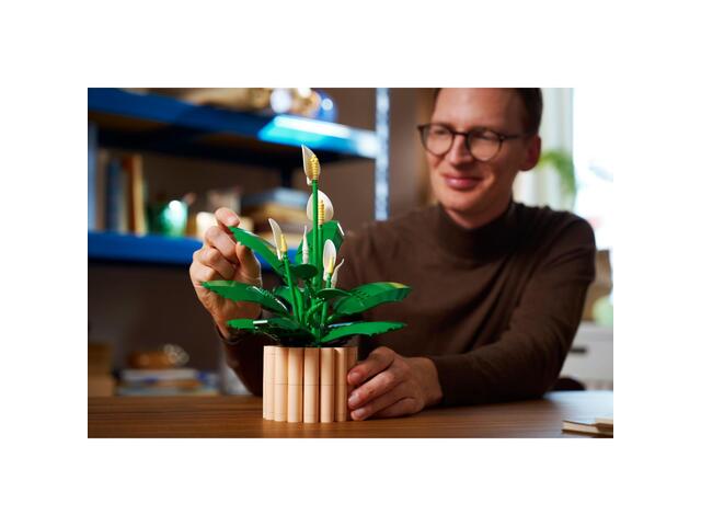 LEGO® Botanicals - Crinul pacii (11504)