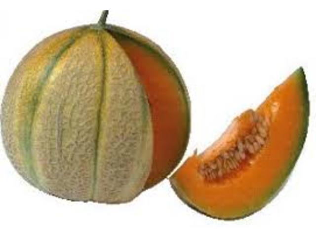 Pepene Cantalup per kg