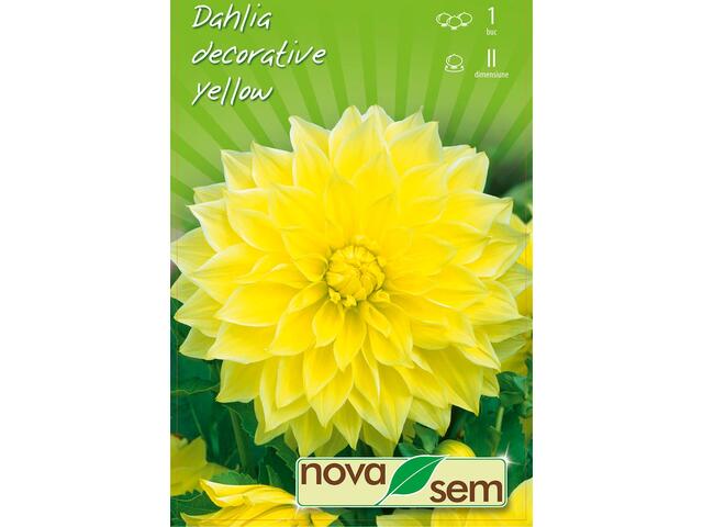 Dalia Decorative Yellow