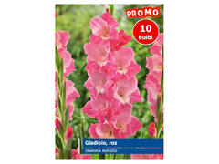 Agrosel Bulbi gladiole