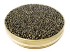 Caviar Sturion