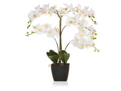 Aranjament flori artificiale in ghiveci ORCHID H.70 alb