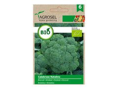 Broccoli calabrese natalino  eco