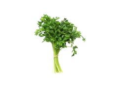 PATRUNJEL LEGATURA CALITATEA I