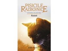 Rasarit. Puterea celor trei. Pisicile razboinice, vol. 18