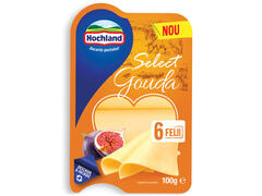 Branza Gouda Felii 100G Hochland