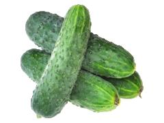 CASTRAVETI CORNICHON CALITATEA I