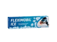 FLEXIMOBIL ICE GEL 45G