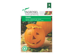 Seminte Dovleac Howden - 3g