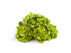 W Salata Verde Romania Per Bucata