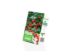 Set rasadnita mica Tomate de balcon - Ro&#351;u