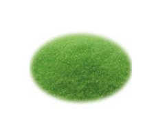 Nisip pentru acvariu Enjoy Grass Green 0-1mm 2kg CGG-001