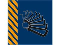 Set 10 chei hexagonale