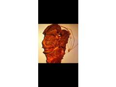 Pastrama Oaie Afumata