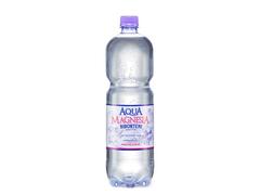 Apa Minerala Naturala Carbo Biborteni Aqua Magnesia 2L Sgr
