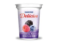 Danone Delicios iaurt cu fructe de padure 400 g