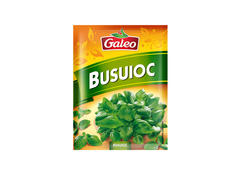 BUSUIOC GALEO 10G