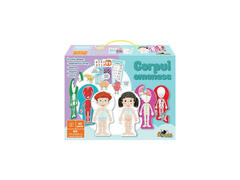 Joc educativ Noriel - Corpul omenesc