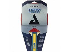 PALETA TM JOOLA CARBON CONTROL