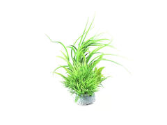 Planta decor pentru acvariu Japan Set 2