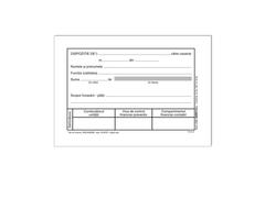 Dispozitie plata casierie Dacris, A6, 100 file